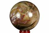 Colorful Petrified Wood Sphere - Madagascar #169139-1